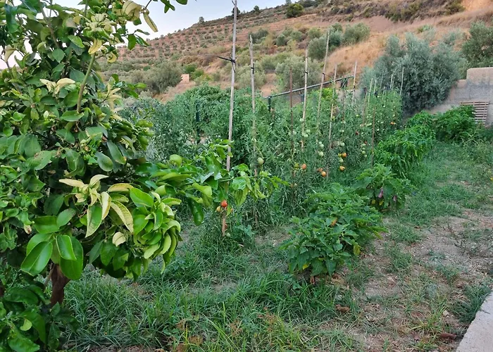 Cortijo Don Enrique